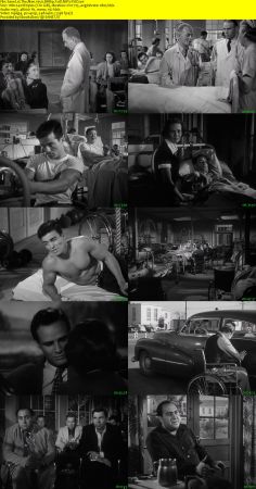 The Men 1950 BRRip XviD MP3-XVID
