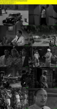 The Mad Doctor of Market Street 1942 BRRip XviD MP3-XVID