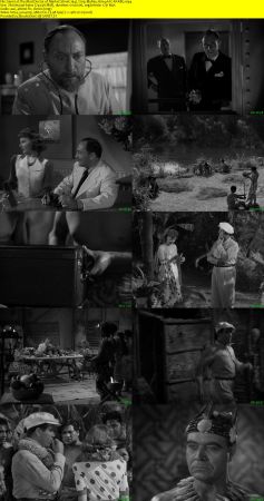 The Mad Doctor of Market Street 1942 720p BluRay H264 AAC-RARBG