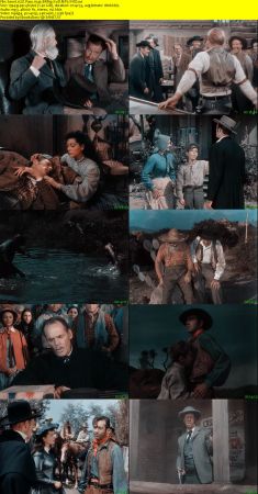 El Paso 1949 BRRip XviD MP3-XVID