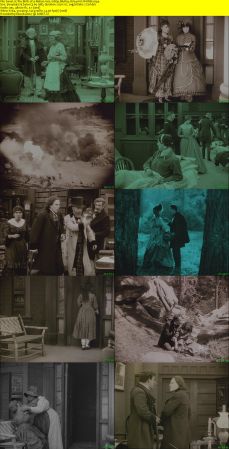 The Birth of a Nation 1915 1080p BluRay H264 AAC-RARBG