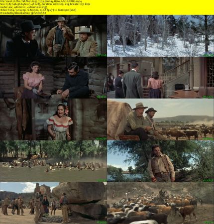 The Tall Men 1955 720p BluRay H264 AAC-RARBG