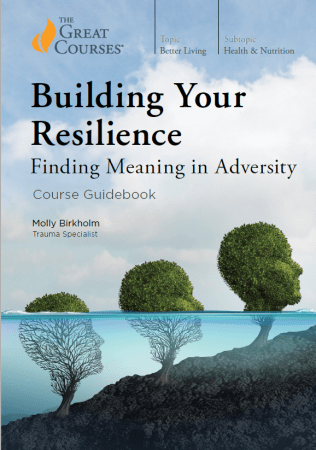 Building Your Resilience: Finding Meaning in Adversity 