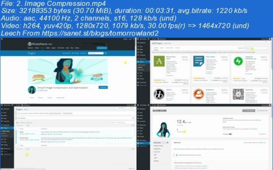 SEO 2019: SEO For Wordpress Websites + On Page SEO