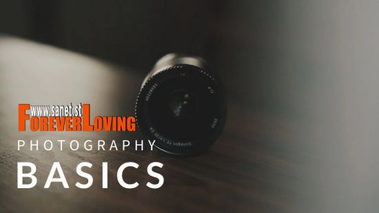 Photography for Beginners: Understanding the Basics