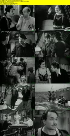 Tiger Shark 1932 DVDRip x264-REGRET