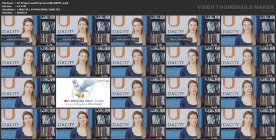 Udacity - Business Analyst nd008 v3.0.0 