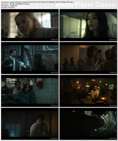 Swamp Thing 2019 S01 720p DCU WEBRip AAC2 0 x264-NTb
