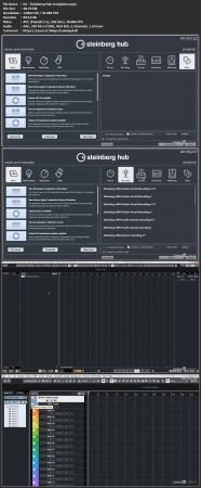 Cubase Pro 10 Essential Training: The Basics