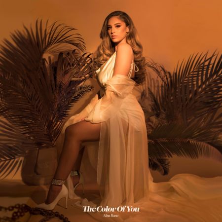 Alina Baraz – The Color Of You (Remixes) (2019)