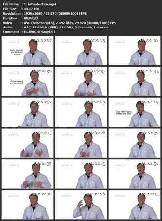 Signs, Wonders &amp; Miracles - Healing and Deliverance Ministry