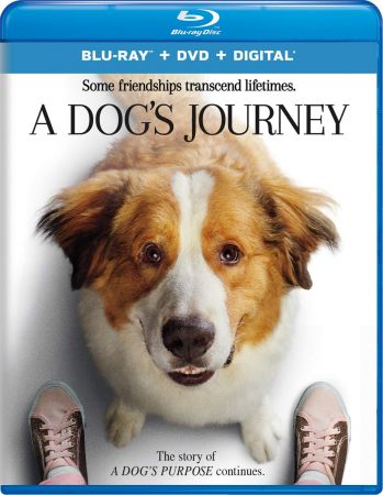 A Dogs Journey 2019 720p BRRip X264 AC3-EVO
