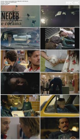 Narcos S02 Bluray 1080p DD5 1 H265-d3g