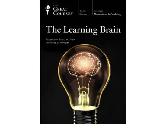 TTC - The Learning Brain pdf