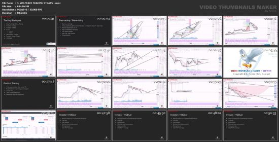 Stock Market Wolf - Wolf Pack Course