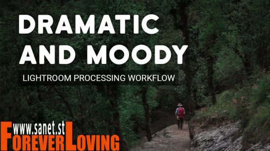Dramatic and Moody Processing Lightroom Workflow
