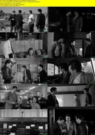 The Night Holds Terror 1955 BRRip XviD MP3-XVID