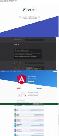Loopback, Angular 5, Ionic 3: Build Web and Mobile Apps