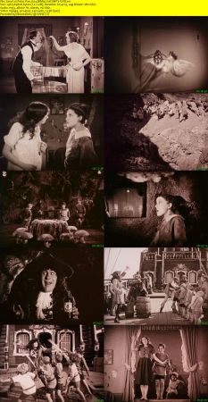 Peter Pan 1924 BRRip XviD MP3-XVID