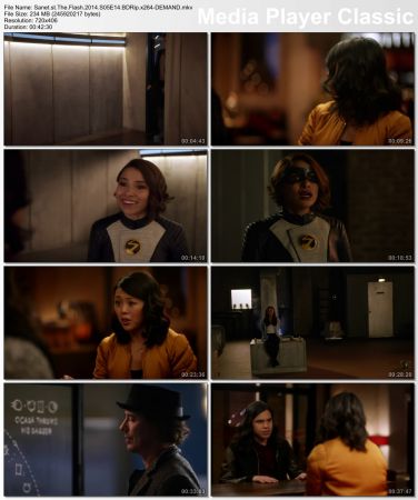 The Flash 2014 S05 BDRip x264-DEMAND