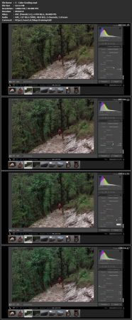 Dramatic and Moody Processing Lightroom Workflow