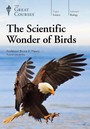 The Scientific Wonder of Birds