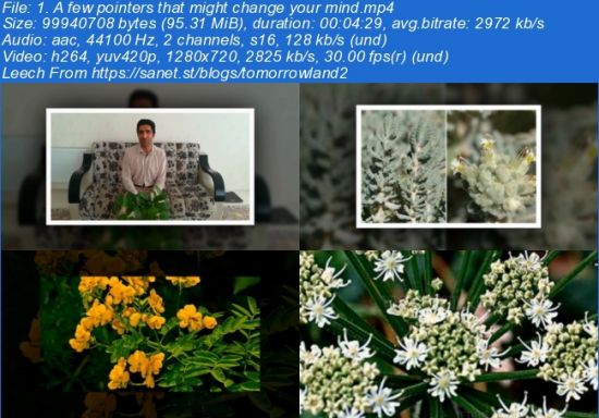 Learn about herbs