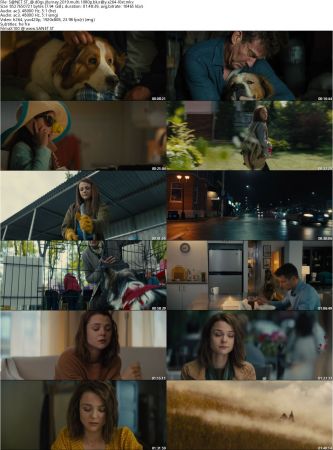 A Dogs Journey 2019 MULTi 1080p BluRay x264-LOST