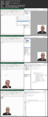 Excel 365 VBA Expert