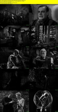 Bride Of Frankenstein 1935 1080p BluRay H264 AAC-RARBG