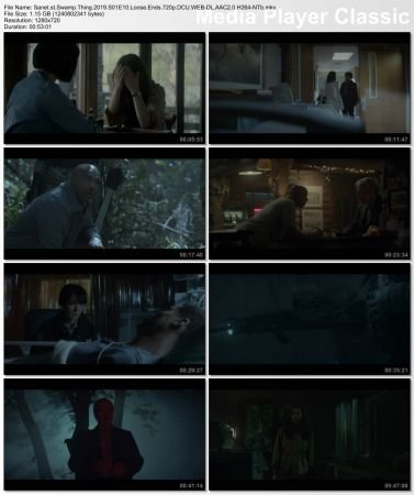 Swamp Thing 2019 S01 720p DCU WEBRip AAC2 0 x264-NTb