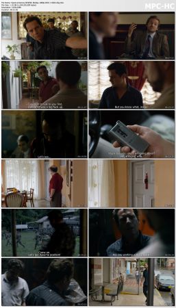 Narcos S03 BluRay 1080p DD5 1 H265-d3g