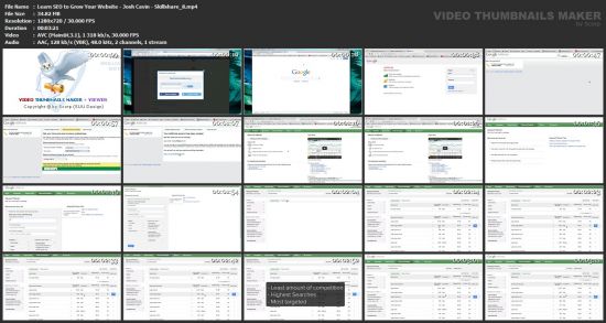 Learn SEO to Grow Your Website