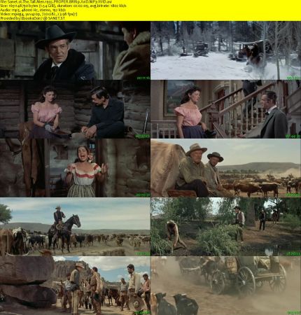 The Tall Men 1955 PROPER BRRip XviD MP3-XVID
