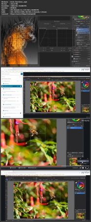 Affinity Photo: The Fast Guide