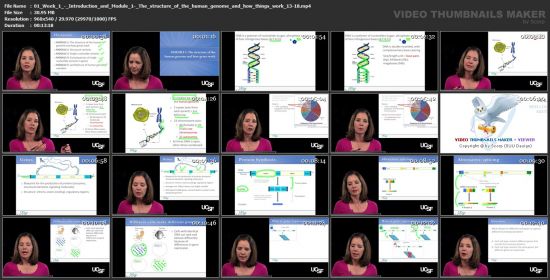 Coursera - Genomic and Precision Medicine