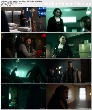 The Flash 2014 S05 BDRip x264-DEMAND