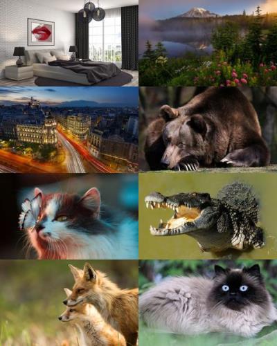 Desktop Wallpapers Mixed Pack # 780