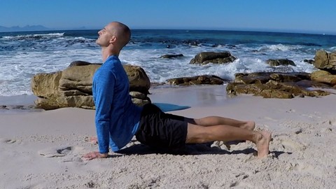 Strength and Mobility Training