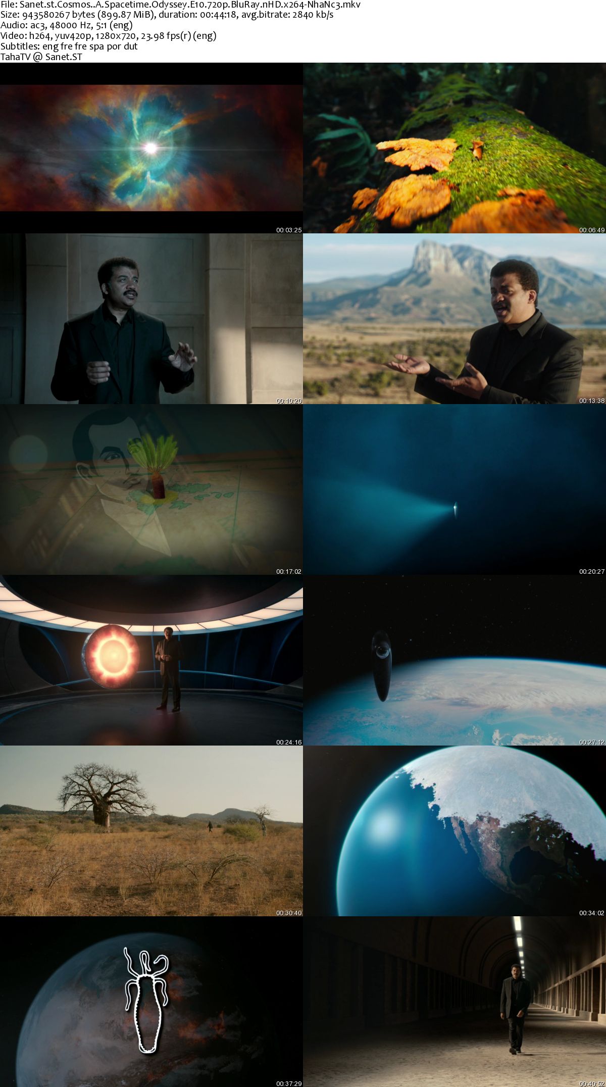 cosmos a spacetime odyssey cast