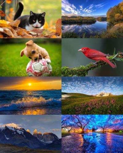Desktop Wallpapers Mixed Pack # 781