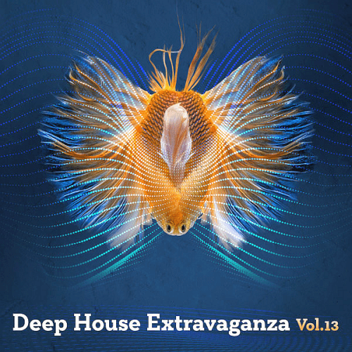VA - Deep House Extravaganza Vol. 13 (2019)