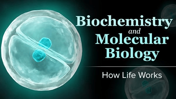 Biochemistry and Molecular Biology: How Life Works (The Great Courses)