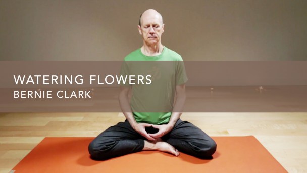 Watering Flowers