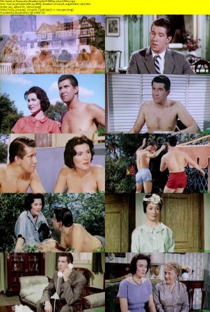 Pussycats Paradise 1960 WEBRip x264-ION10