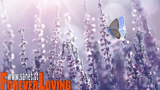 Using Lightroom and Photoshop Together