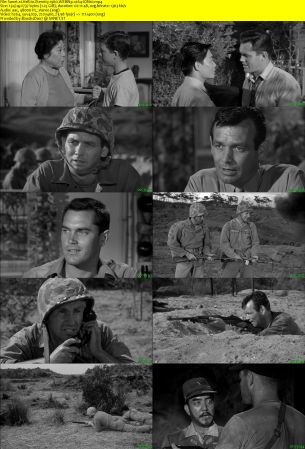 Hell to Eternity 1960 WEBRip x264-ION10