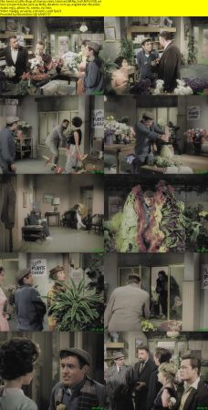 Little Shop of Horrors 1960 Colorized BRRip XviD MP3-XVID