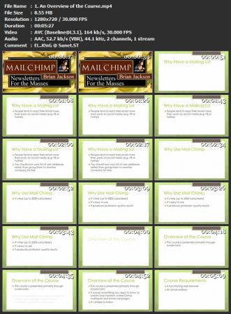 Free MailChimp Mailing List Building and Email Marketing