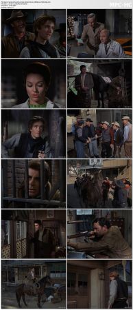 The Time Tunnel S01 Bluray 1080p AC3 H265-d3g